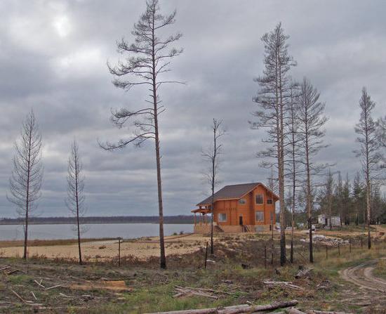 Супруга нижегородского сенатора за три года увеличила свой доход более чем в 10 раз