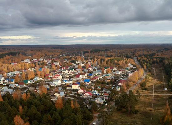 Рослесхоз оспорит права на земли, пересекающиеся с границей Борского лесничества