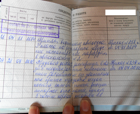 Водитель нижегородского МП «Нижегородпассажиравтотранс» пожаловался Путину и был уволен