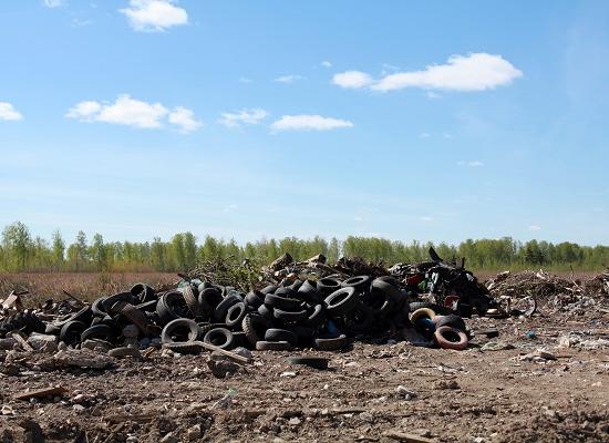 Участок на Коновалова в Нижнем Новгороде, превращенный в свалку, арендован под предлогом строительства завода