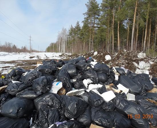 Новыми свалками отмечено начало мусорной реформы в Нижегородской области