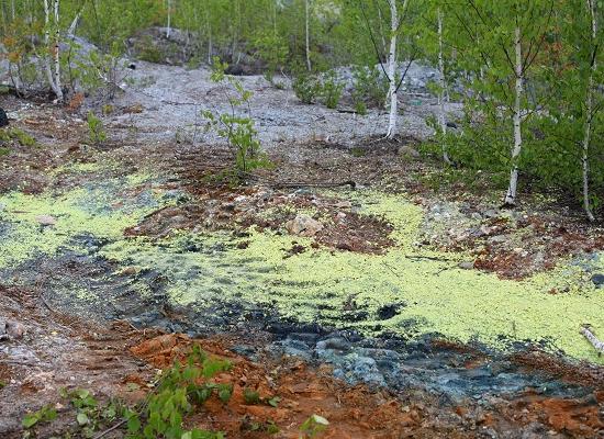 Система незаконного обращения с промышленными отходами выстроена в Нижегородской области