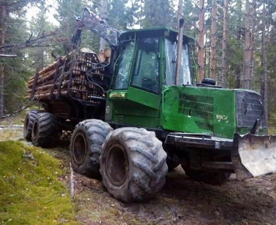 Нижегородцу грозит до семи лет лишения свободы за незаконную рубку леса