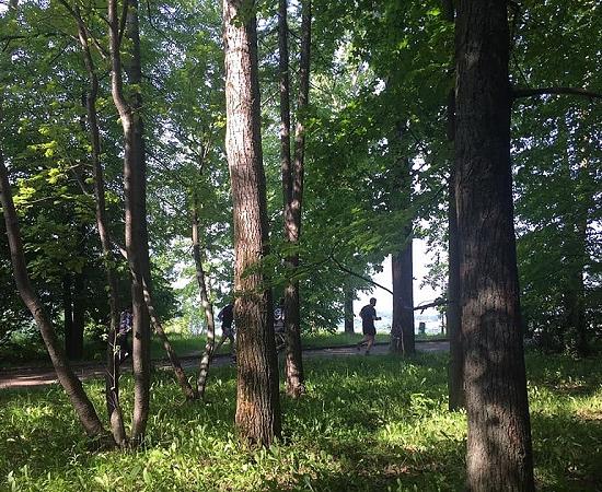 Нижегородские депутаты вернули землю в границы парка «Швейцария», изъятую ими в январе 2020 года