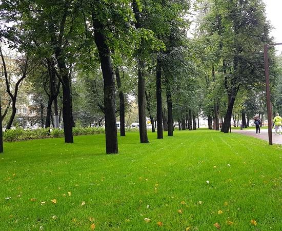 Благоустройство сквера 1905 года завершено к Дню города Нижнего Новгорода