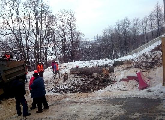 Что нельзя быку, можно жене Юпитера