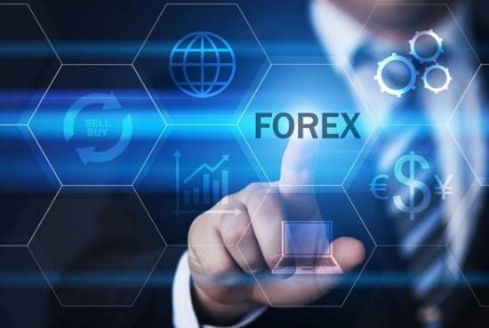 Изучите вспомогательные инструменты FOREX