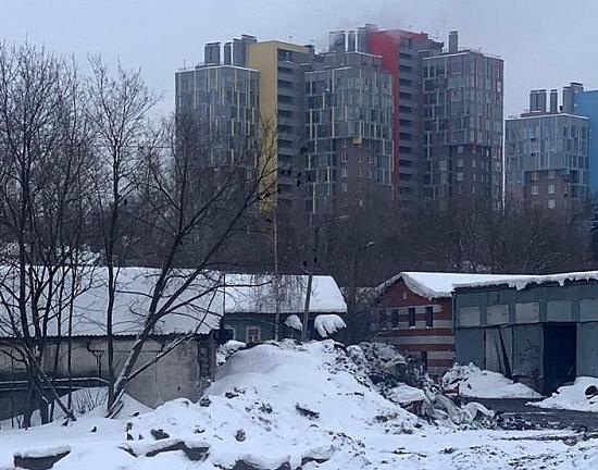 Колонии серых крыс обосновались в центре Нижнего Новгорода