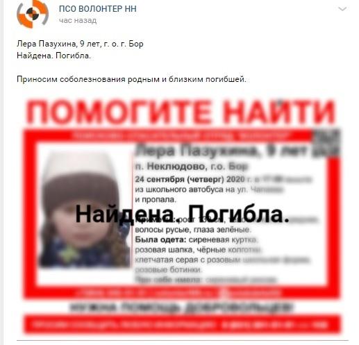 Тело пропавшей девочки найдено в Нижегородской области