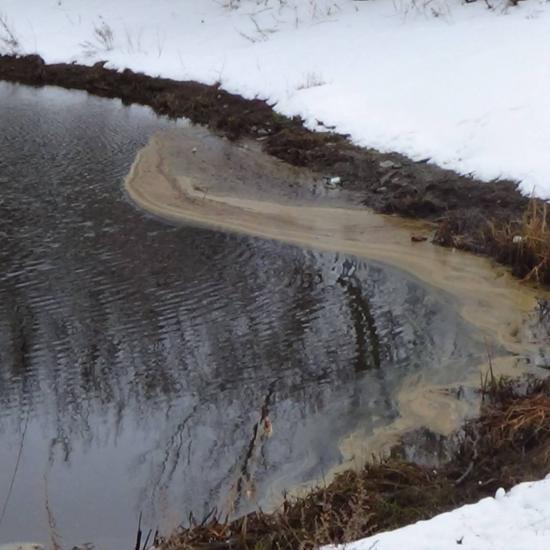 Более 50% водоемов Нижегородской области оцениваются как «грязные» и «очень грязные»